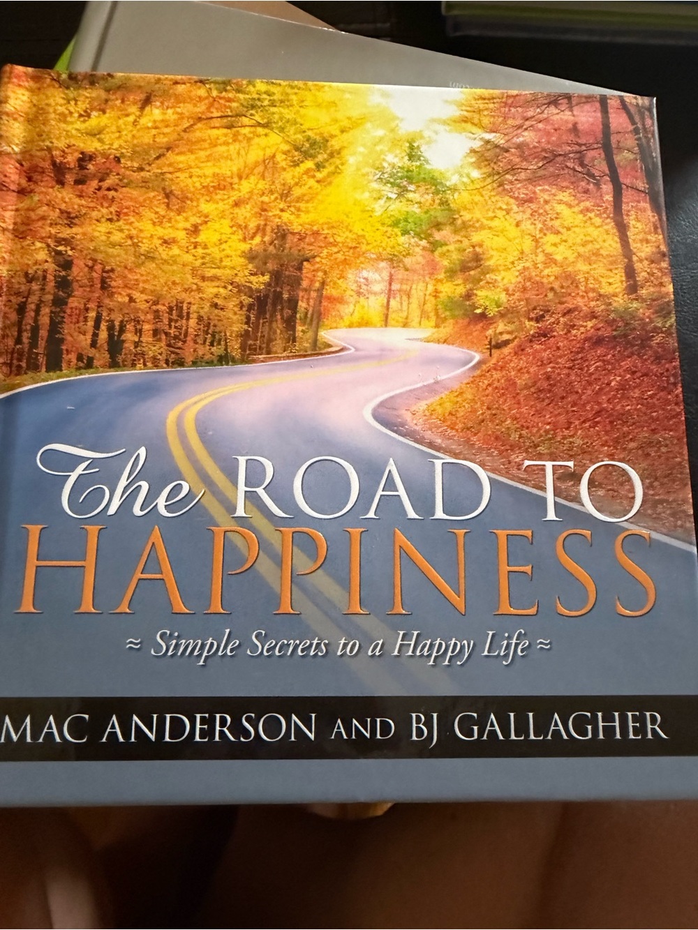 The Road to Happiness - Autumn Cover Book
